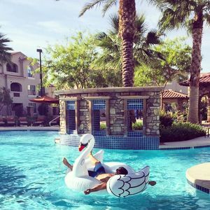 Meet your Posher, Katelyn